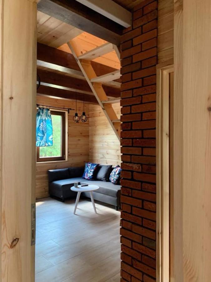 Villa Nad Czarna à Sielpia Wielka Extérieur photo