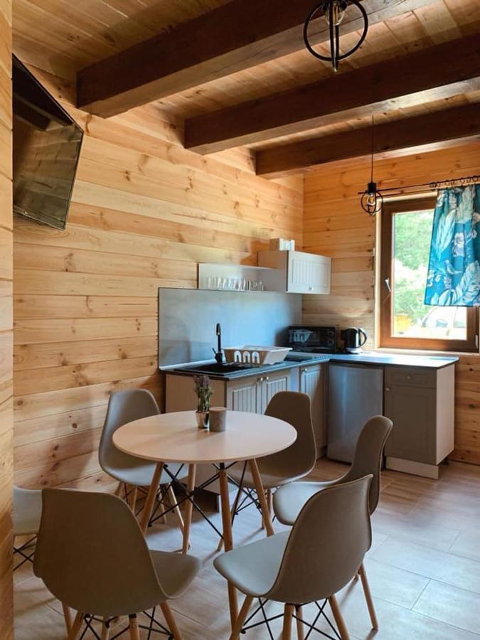 Villa Nad Czarna à Sielpia Wielka Extérieur photo