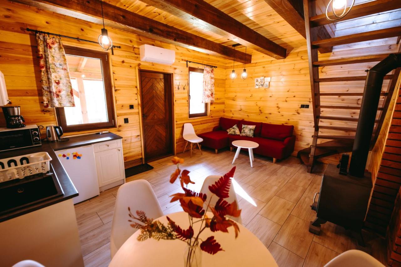 Villa Nad Czarna à Sielpia Wielka Extérieur photo